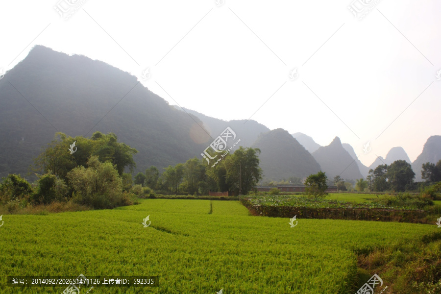 会仙山村