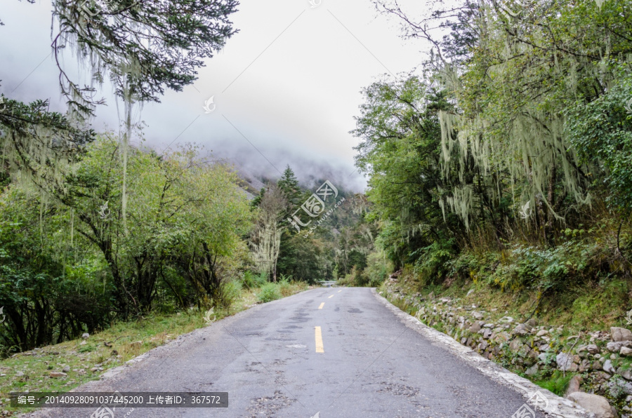 山区公路,林区公路,山区交通