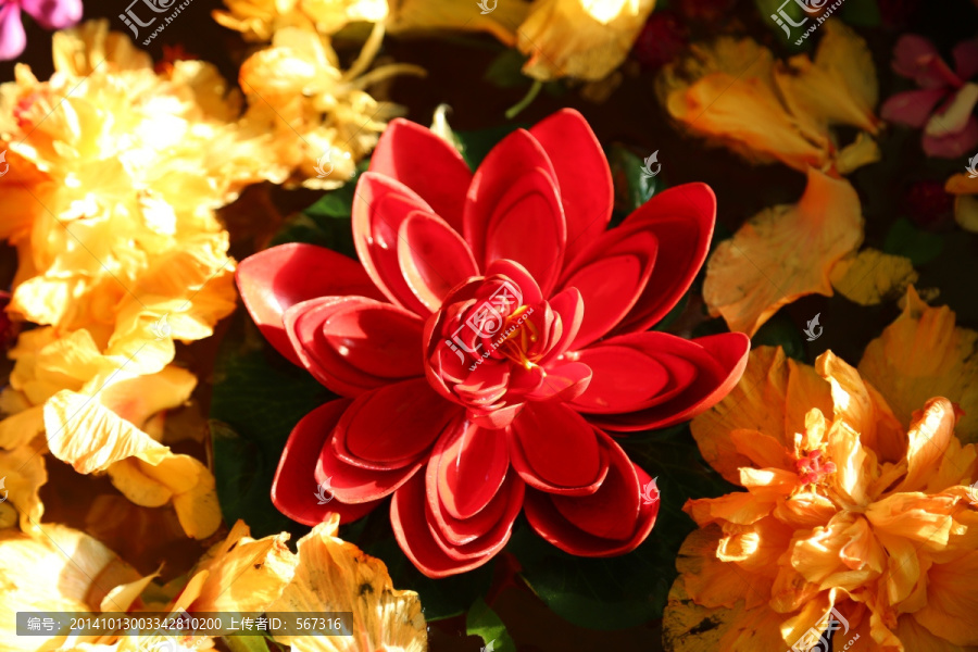 花团锦簇