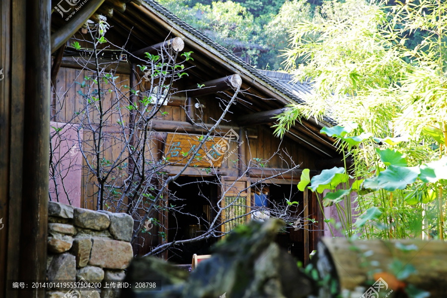 小院,院落,农家院落,农村院落