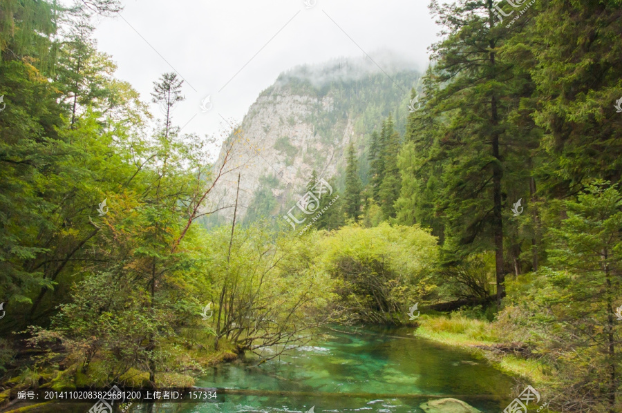 九寨沟山林湖泊美景,芳草海