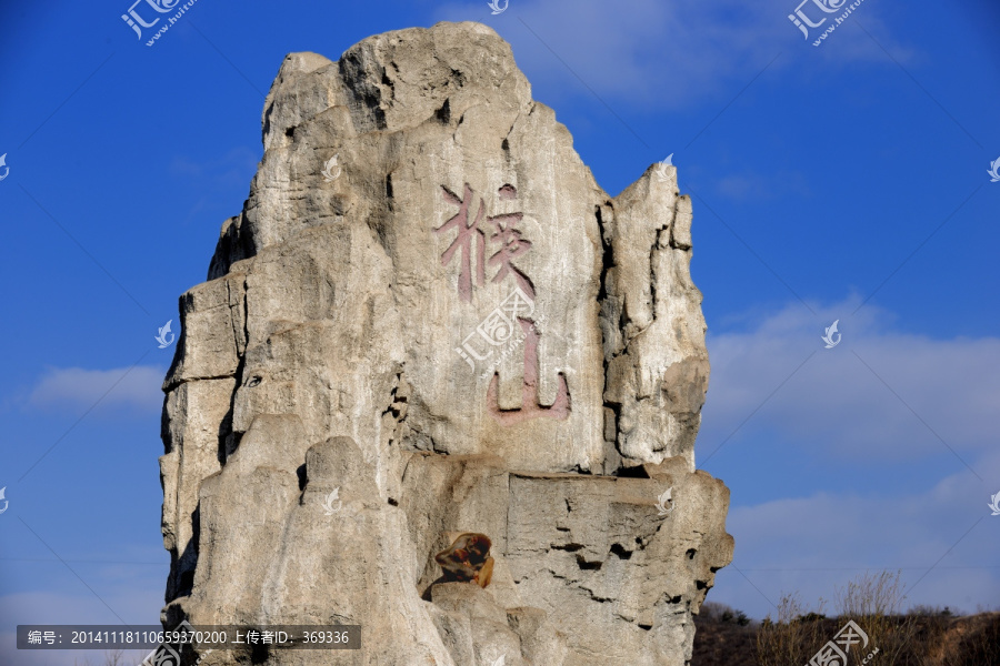 野生动物世界猴山