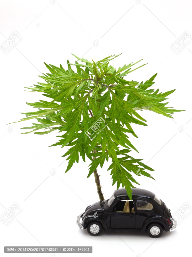 模型汽车