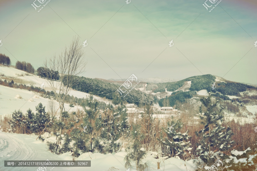 松岭雪村
