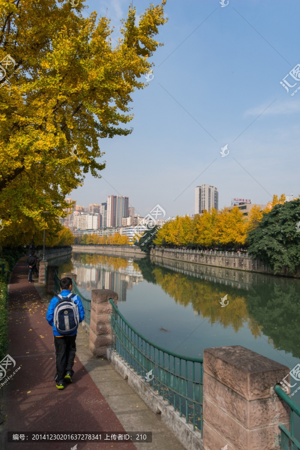 成都锦江秋色
