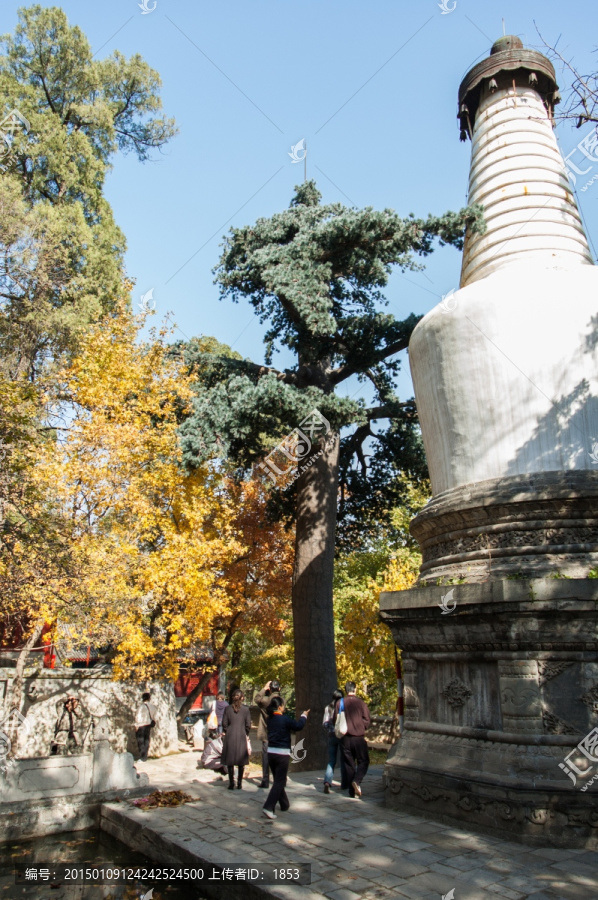 大觉寺旅游风光