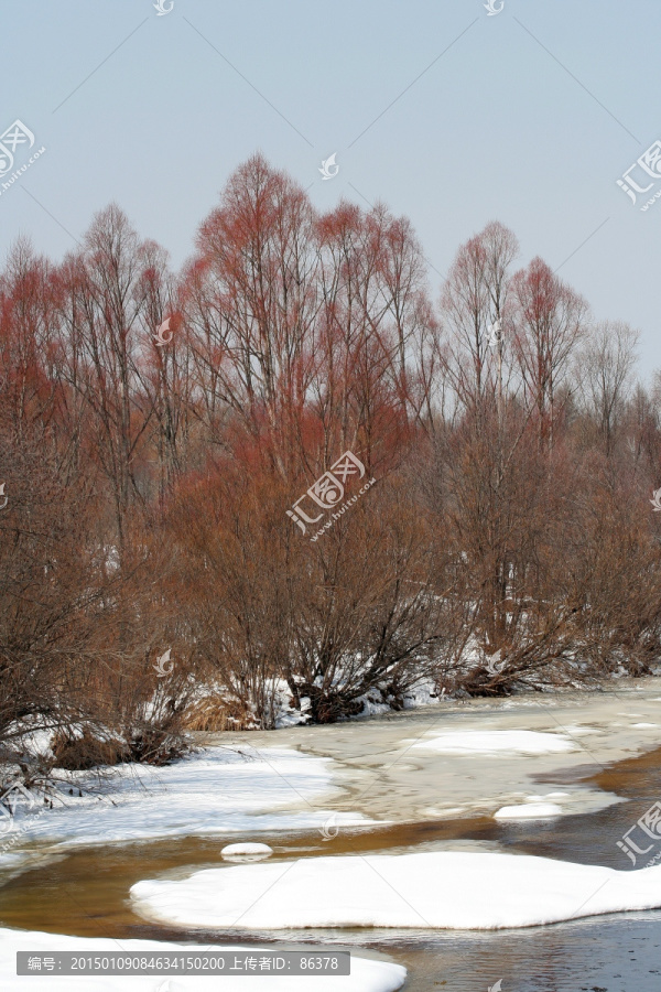 冰雪融化河流河柳慢慢舒缓