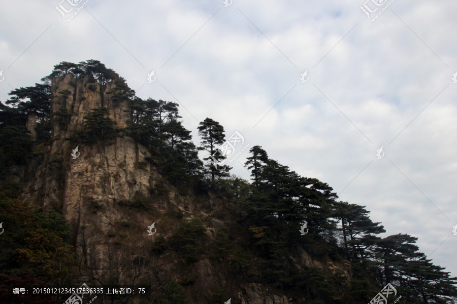 山