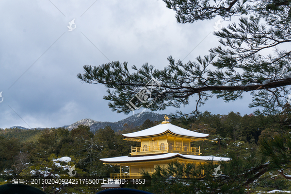 日本金阁寺园林景观