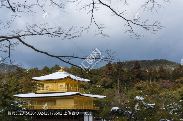 日本鹿苑寺冬景