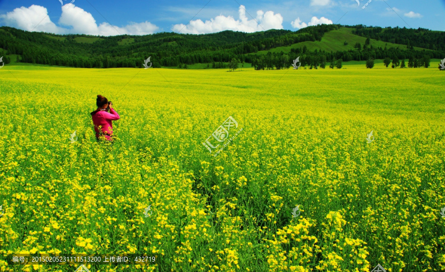 油菜田边摄影人,旅游