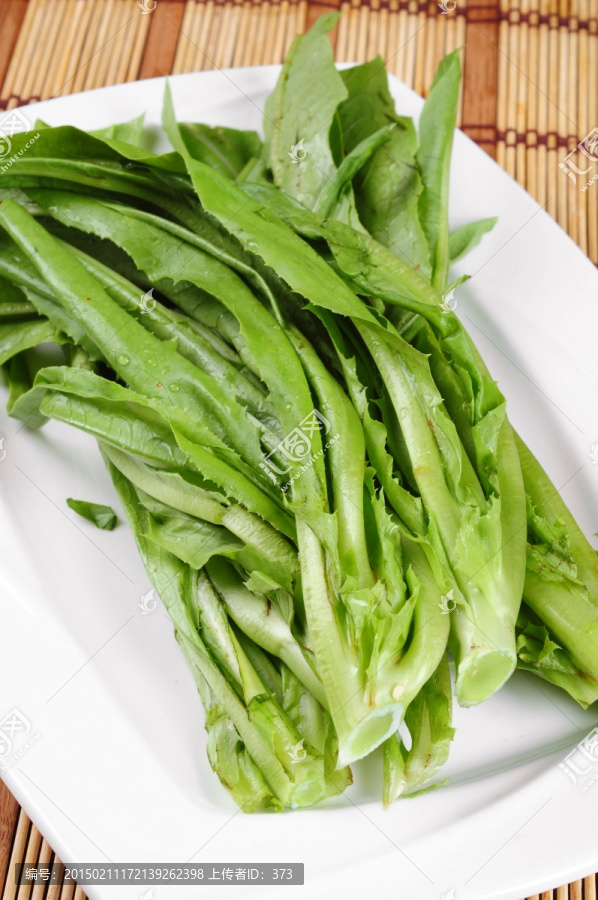 油麦菜 蔬菜 时蔬 绿色