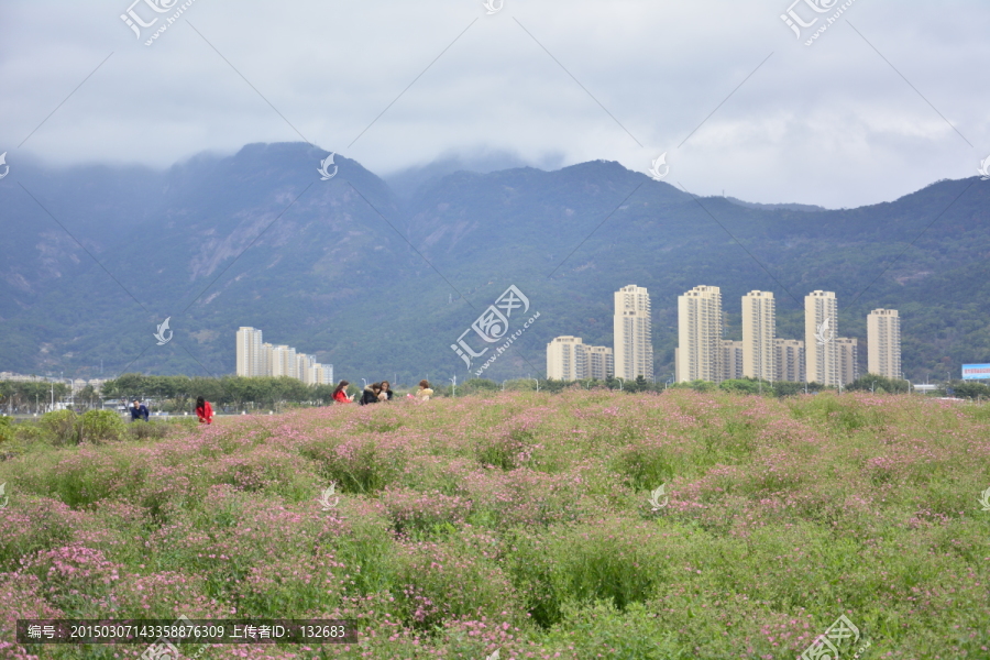 花海公园