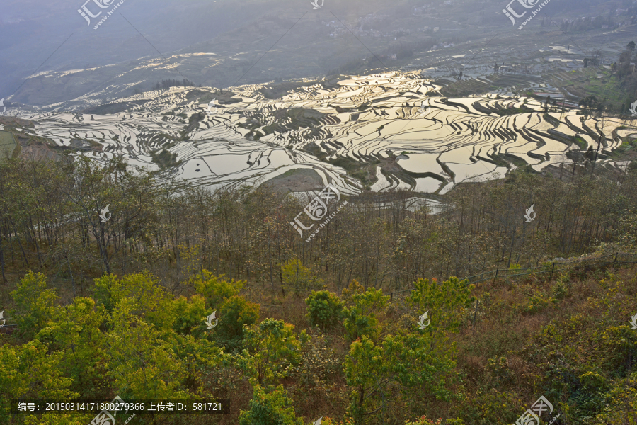 元阳梯田