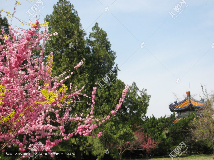 绿化景观