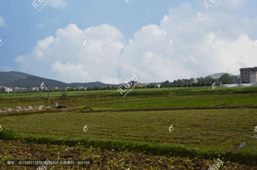 田园风光