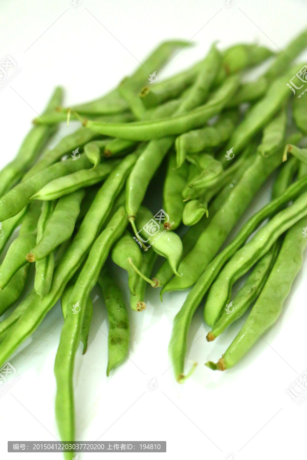 四季豆摄影