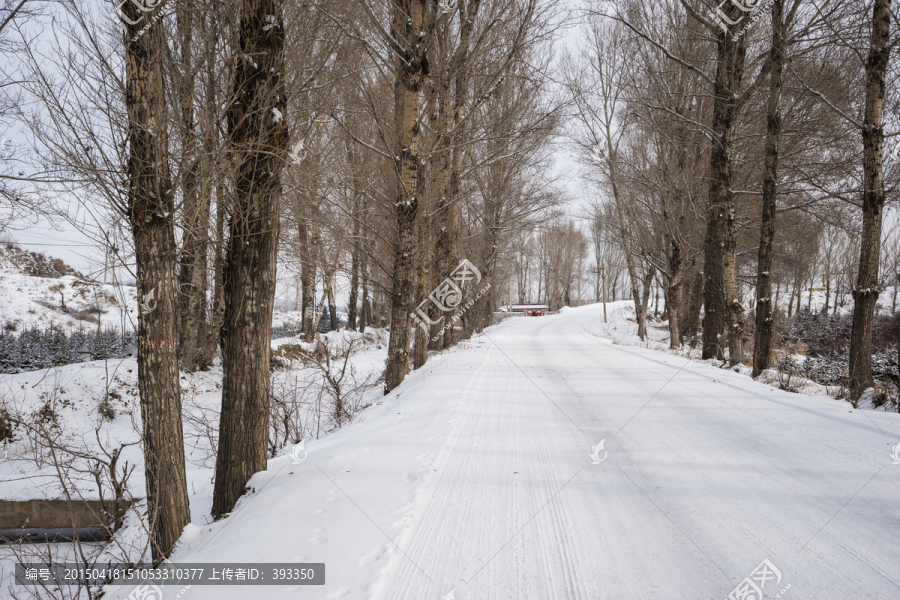 积雪的公路,道路