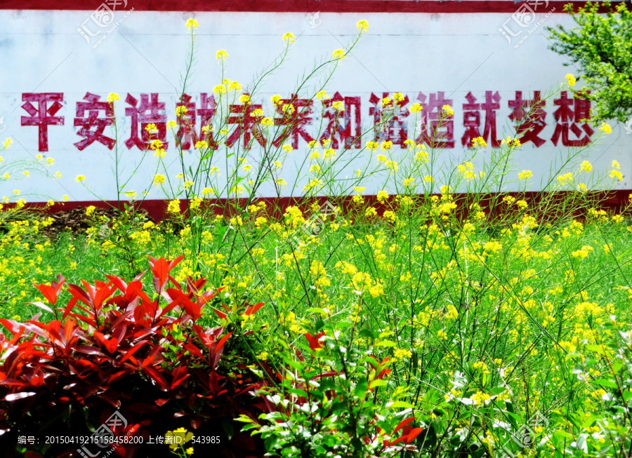 标语
