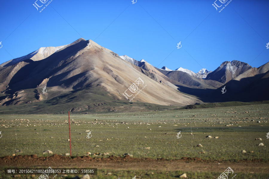 雪山,牧场,西藏