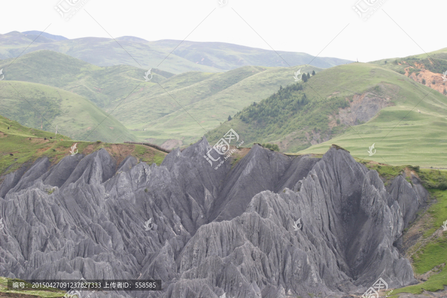 八美石林风光,四川道孚县