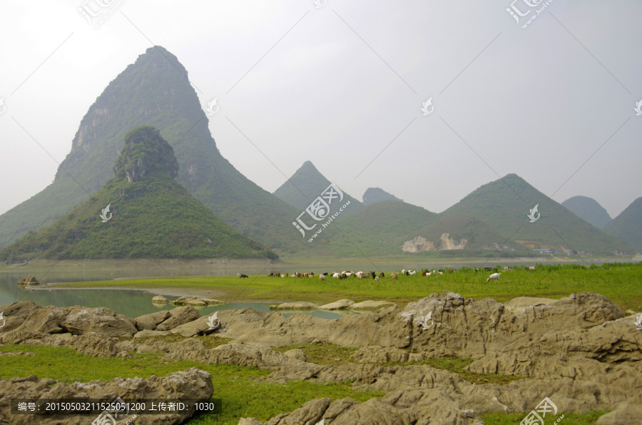 风景,羊群