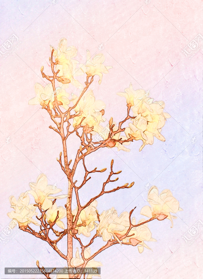 玉兰花油画