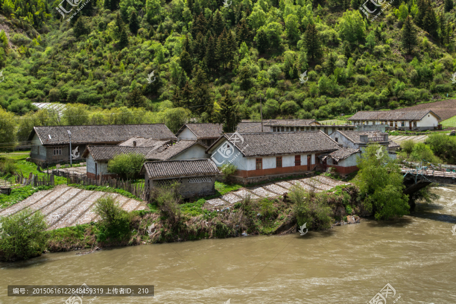 红原刷经寺镇向阳坝军马场