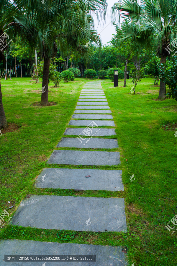 公园小路