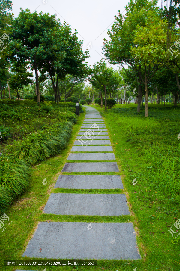 林荫小道