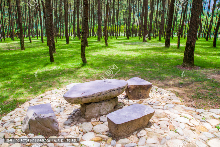 石桌椅,树林