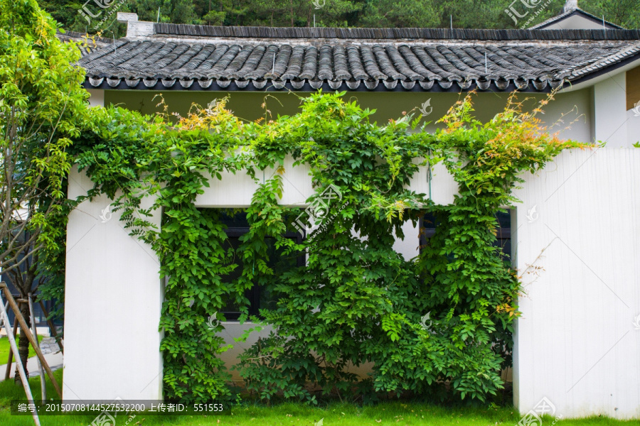 园林景观