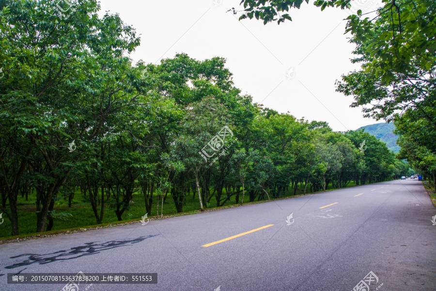 乡村公路