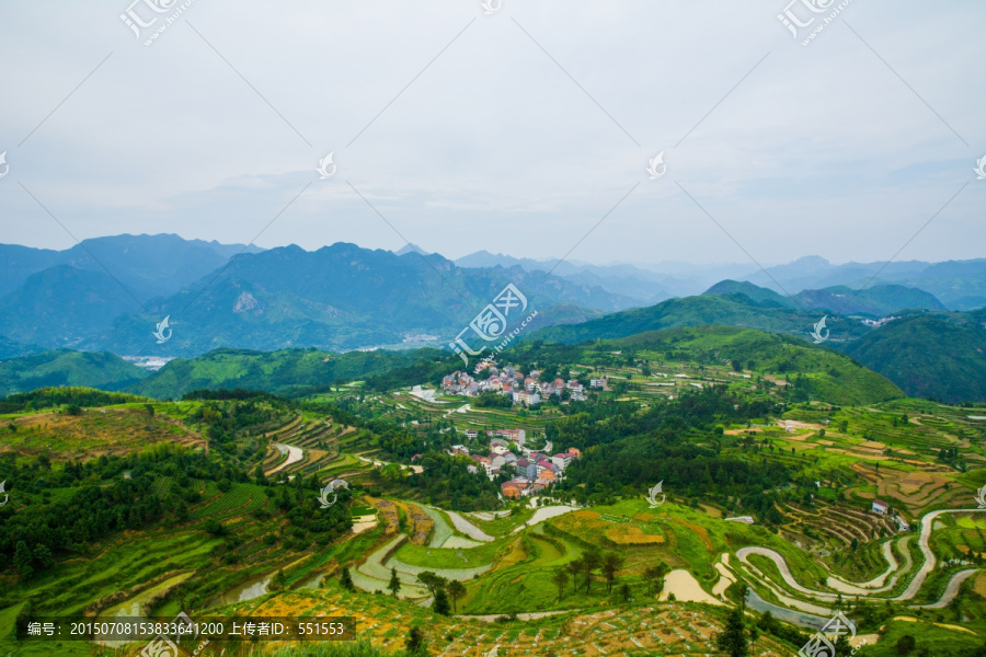 茗岙风光