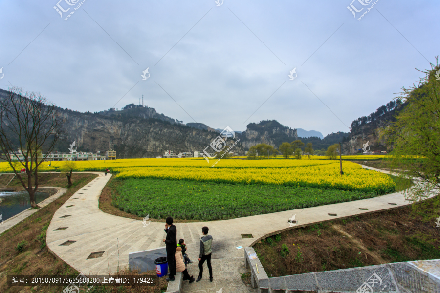 古蔺双沙小河油菜花柳树画里乡村