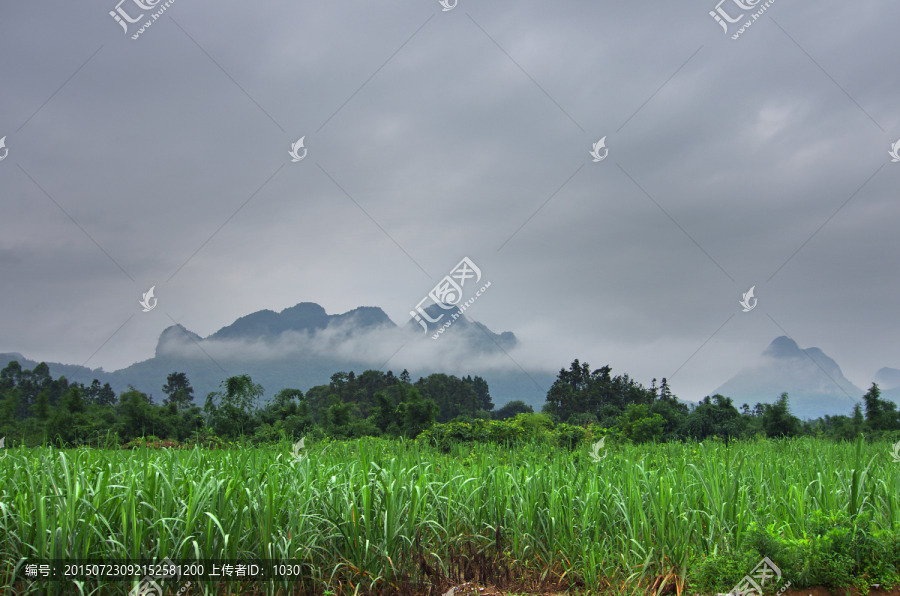 雾,风景