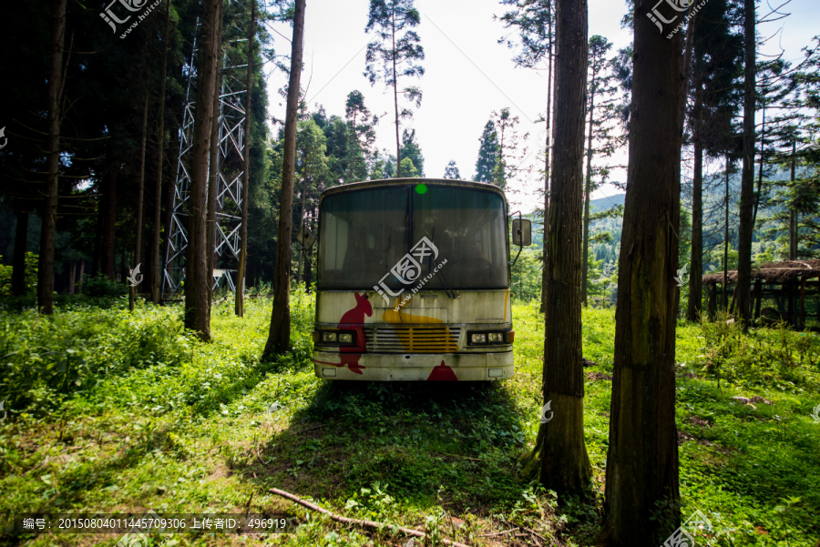 森林中的公交车