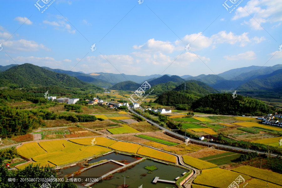 山间,乡村,稻田