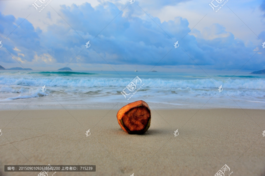沙滩清晨椰壳