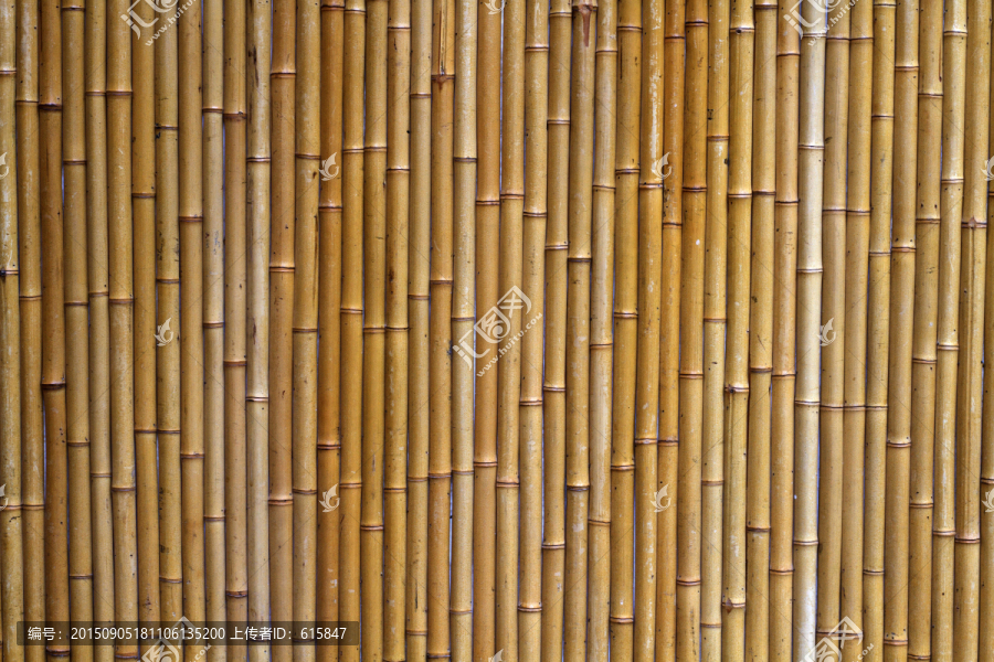 竹子素材纹理
