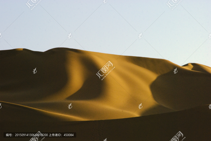 流金沙漠