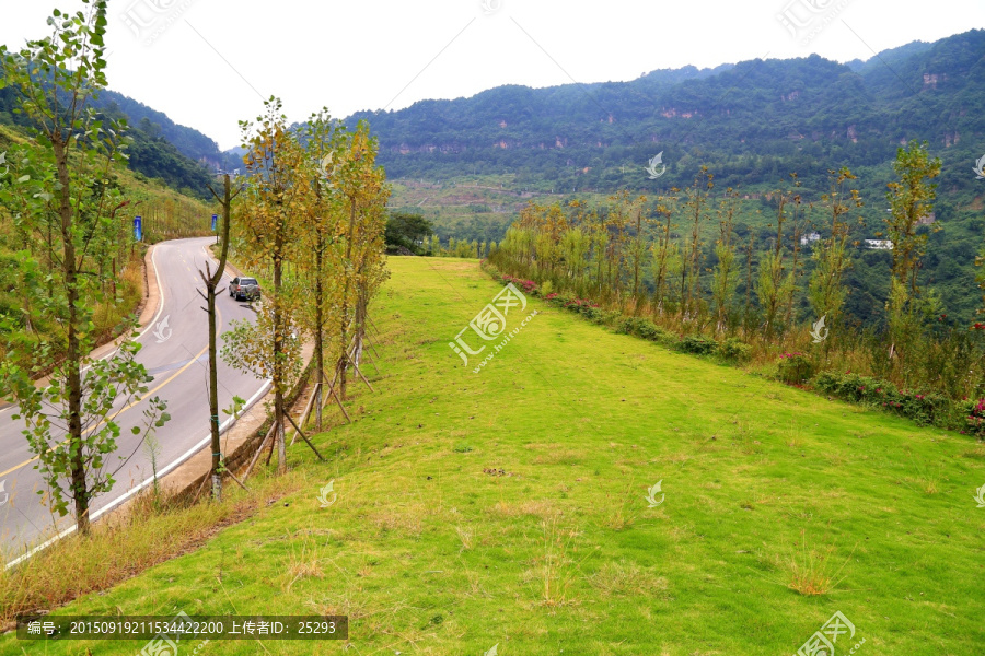 景观山路