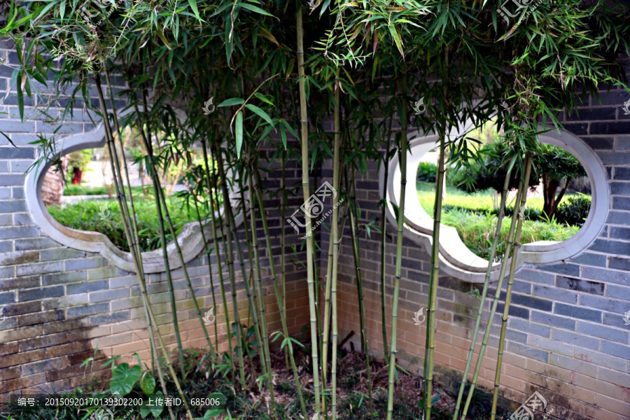竹子,园林