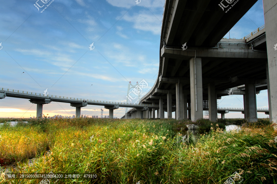 大庆,湿地,高架桥