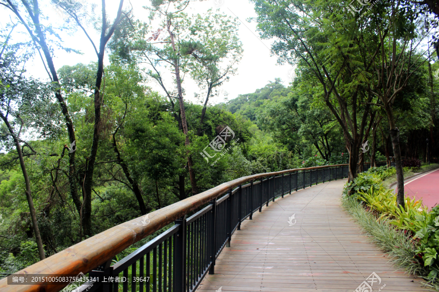 金鸡山公园