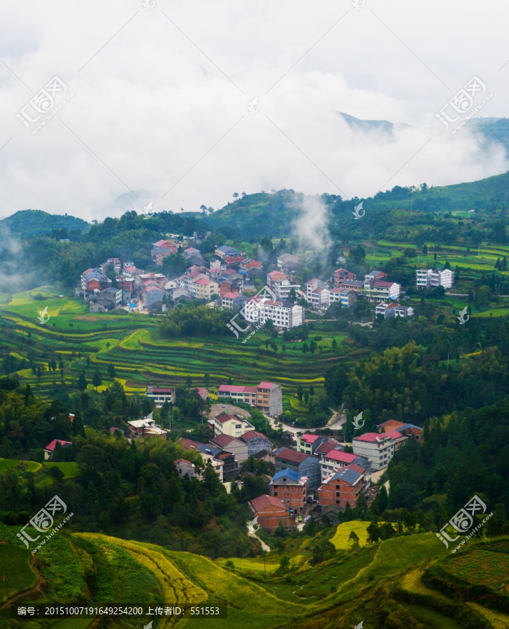 茗岙风光
