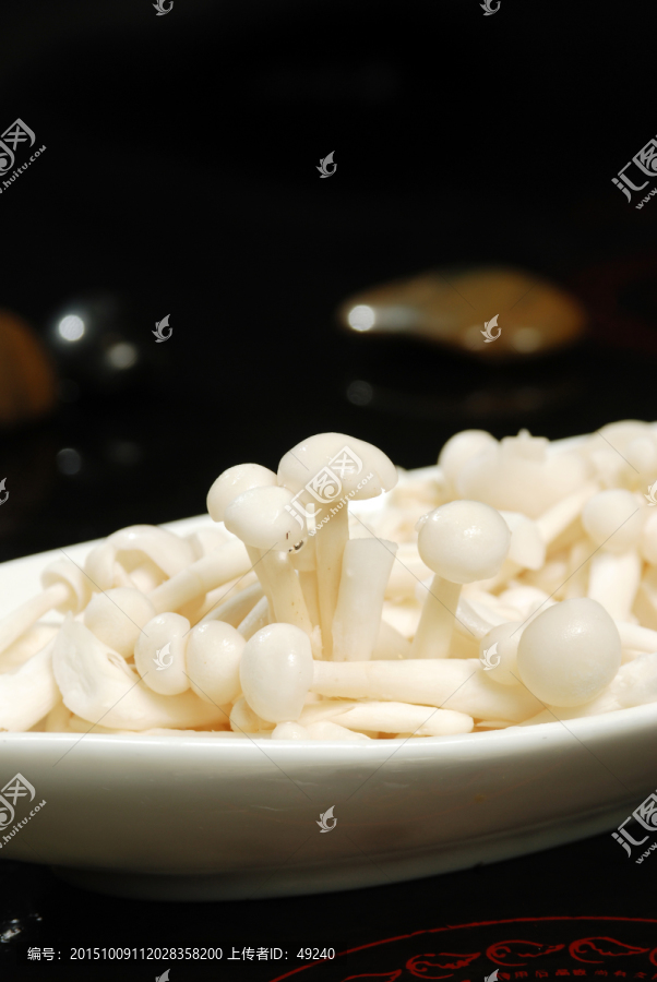 秀珍菇