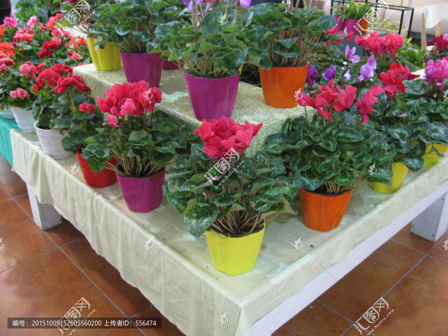 鲜花店