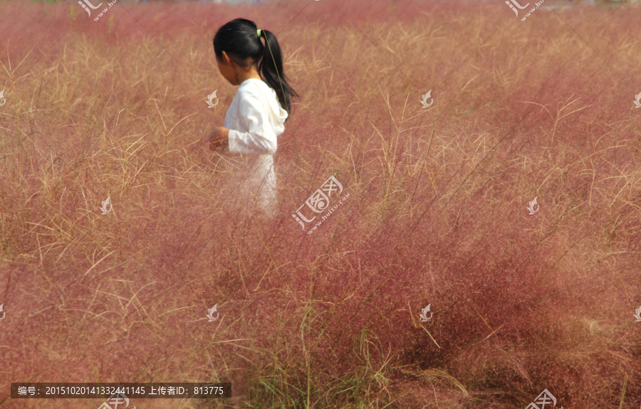 花海中的小女孩