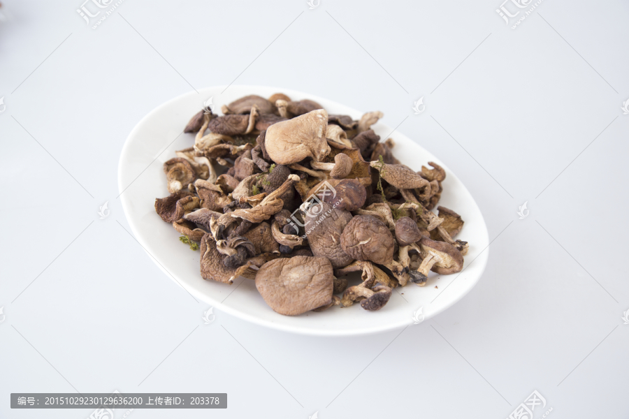 野生香菇
